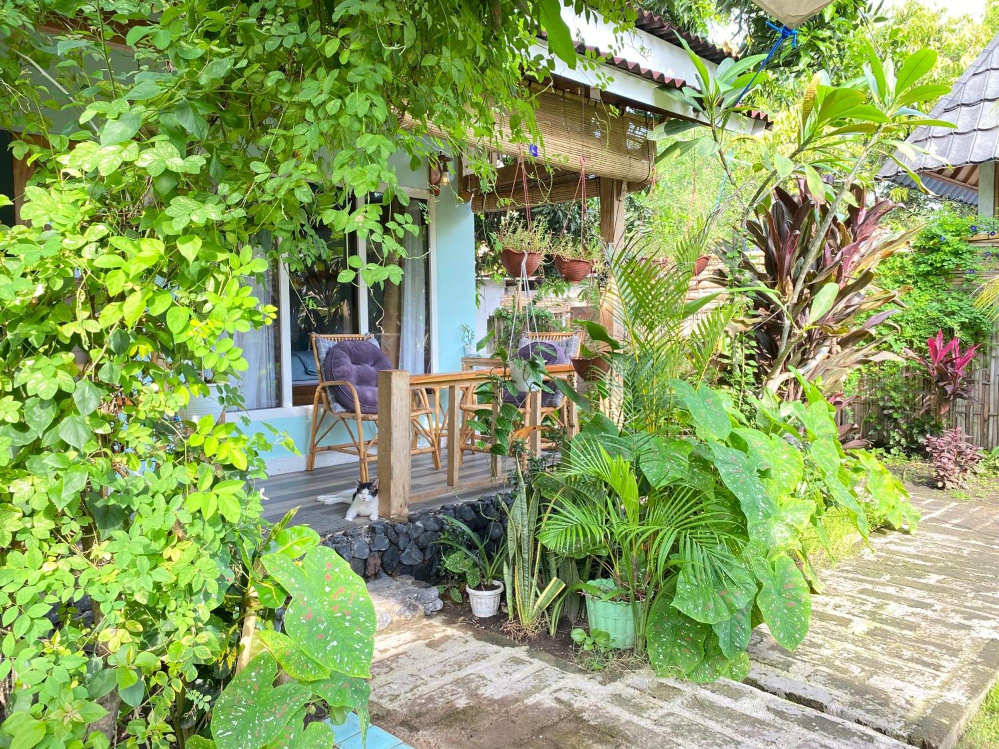 Hotel Marta House Gili Air Exterior foto